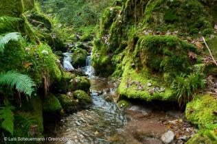 Wasserfall im Schwarzwald