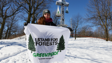 Greenpeace-Aktivistin im kanadischen Quebec mit einem Banner "I Stand for Forests"