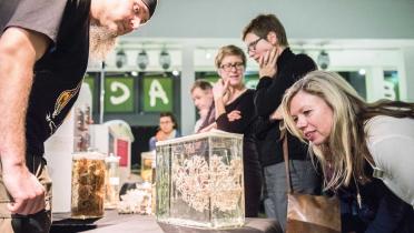 Beim Greenpeace-Expertentalk zum Thema Kaltwasserkorallen betrachten Gäste Korallen-Exponate