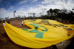 Greenpeace-Aktivisten breiten ihr Banner auf einer 360 Hektar-großen berodeten Waldfläche aus