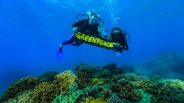Taucher im Great Barrier Reef