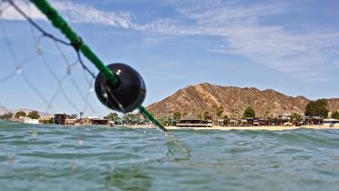 Stellnetze im Golf von Kalifornien