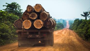 Holztruck im Staat Amazonas
