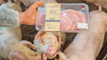 Hand hält eine Packung Fleisch vom Discounter Lidl, im Hintergrund Schweine
