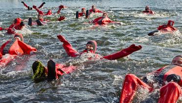 Schwimmer im Hotelsee