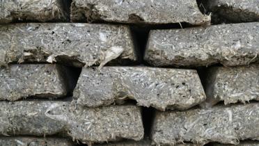 Blöcke aus gepressten und getrockneten Jungfischen, die so haltbar gemacht werden.