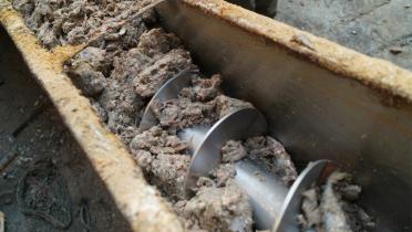 Fischverarbeitung: In Blöcken gepresste Fische werden in einer chinesischen Mahlfabrik verarbeitet.