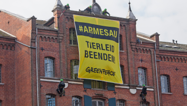 Mit einem großen Banner an einer Hausfassade fordern Greenpeace-Aktivisten: "Tierleid beenden!"