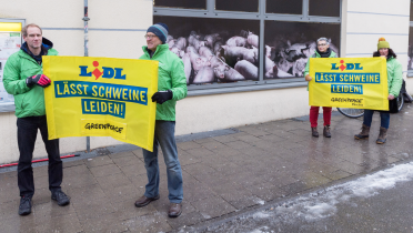 Greenpeace-Aktivisten protestieren vor einer Lidl-Filiale in München für Tierwohl und gegen Billigfleisch