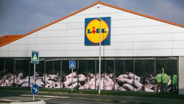 Lidl-Markt in Kiel, die Fenster mit Schweinestallbildern beklebt