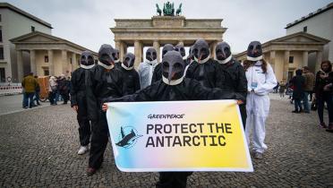 Aktivisten in Pinguinmasken vorm Brandenburger Tor