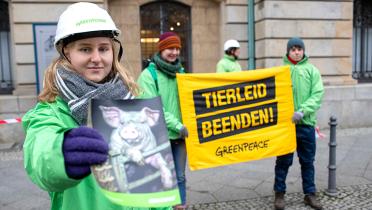 Aktivisten mit Foto eines Schweines und Banner gegen Tierleid