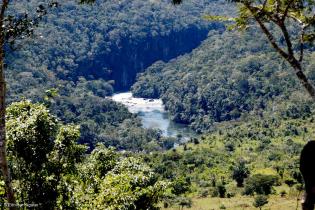 Schönheit im Amazonas