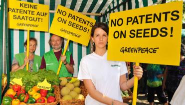 Greenpeace Aktivisten protestieren gegen Saatgutpatente