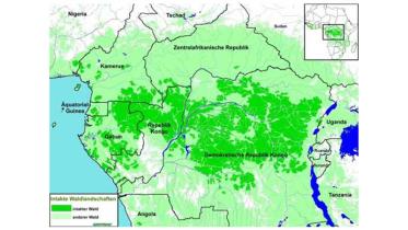 Grafik: Urwald im Kongobecken (2007)