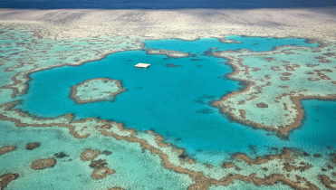 Das Great Barrier Reef vor Queensland, Australien, um die Whitsunday-Inseln