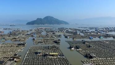 Fischplantagen im chinesischen Meer, Region Fujian.