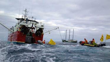 Aktion gegen den Bottom Trawler Ocean Reward, Juni 2005