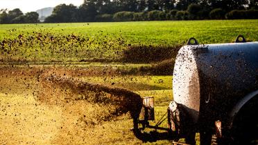 Traktor besprüht seine Felder mit Gülle aus dem Prallteller.