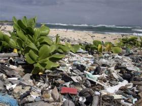 Müll am Strand von Honolulu