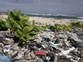 Müll am Strand von Honolulu