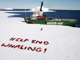 Help end Whaling!