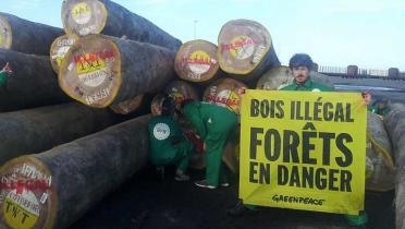 Greenpeace-Aktivisten aus Frankreich protestieren gegen illegalen Holzimport, März 2015