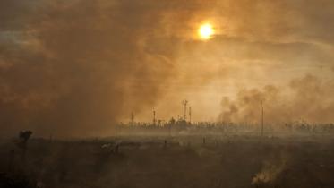 Die zerstörten Wälder auf Sumatra sind in dicken Rauch gehüllt 06/23/2013