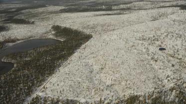 Urwald in Finnland in der Region um den Inari See im September 2006