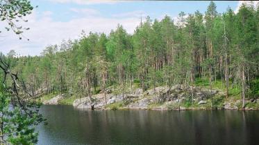 Kalevalski-Urwald in Russland/Karelien. August 2002