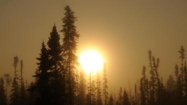 Sonnenaufgang über einem borealem Wald in Quebec, Kanada 08/15/2009