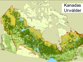 Grafik Kanadas Urwälder