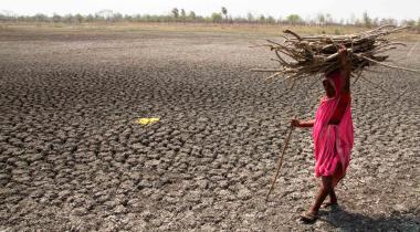 Dürre in Indien: Eine Frau trägt Holz über ein vertrocknetes Feld.