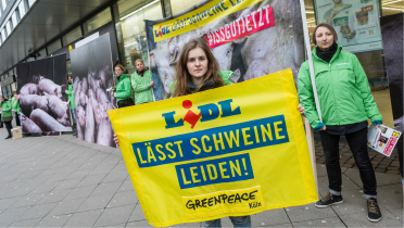 Vor einer Lidl-Filiale in Köln fordern Greenpeace-Aktivisten bessere Haltungsbedingungen für Schweine.