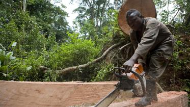 Holzarbeiter im Kongo 03/13/2008