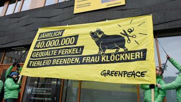 Aktivisten halten vor dem Landwirtschaftsministerium ein Banner "Jährlich 40.000.000 gequälte Ferkel! Tierleid beenden, Frau Klöckner!"
