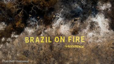 Luftaufnahme einer verbrannten Fläche mit ausgelegtem Banner: Brazil on fire.