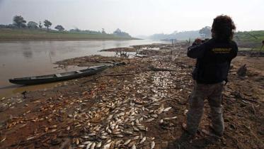 Ein Greenpeace-Aktivist dokumentiert die Folgen der Dürre im Amazonasbecken 2009