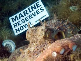 Mittelmeer: Meeresschutzgebiete jetzt!