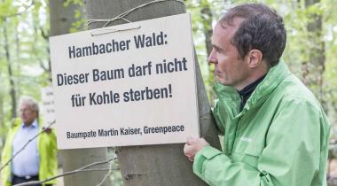 Greenpeace-Geschäftsführer Martin Kaiser wird Baumpate einer Buche im Hambacher Forst