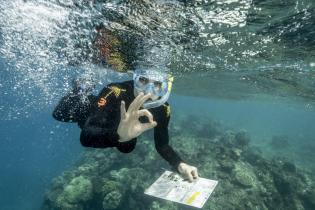 Louisa Schneider nimmt an einer Bestandsaufnahme und Untersuchung am Great Barrier Reef teil, um die wissenschaftliche Datenerhebung zu unterstützen 