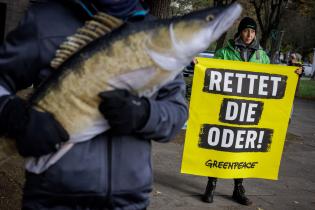 Aktivistin mit Banner "Rettet die Oder", im Vordergrund ein künstlicher Fisch