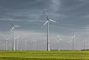 Windräder auf Feld im Windkraftpark Feldheim in Deutschland