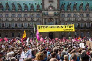 Demonstration vor dem Rathaus in Hamburg