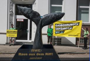 Protest in Germany against Marine Destruction in Western Australia