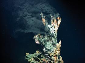Schwarzer Raucher "Kandelabra" in etwa 3.300 Meter Tiefe am Mittelatlantischen Rücken.