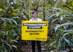 Moritz Jahn protestiert im Amazonas-Regenwald gegen Waldzerstörung