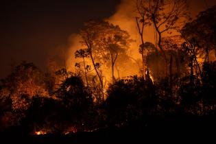 Brandrodungen im Amazons Regenwald 