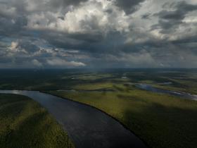 Eine Luftaufnahme des Amazonas Regenwaldes 