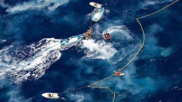 Greenpeace-Aktivisten werden bei einer Schutzaktion für den Blauflossenthun von französischen Fischern angegriffen, Juni 2010